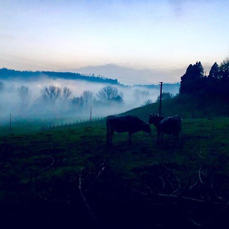 Borghetto Fattoria Lucciano别墅 外观 照片